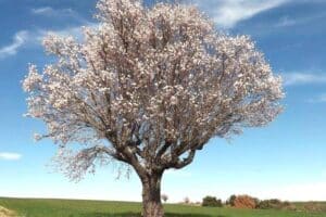 sentiers de randonnés tout proche