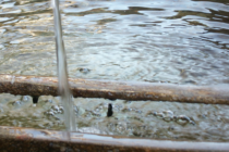 Fontaine de l'école_Le Castellet