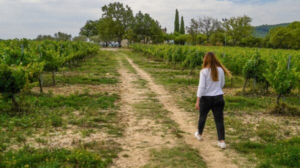 Itinéraire pédestre "Sentier des Vignerons"_Pierrevert