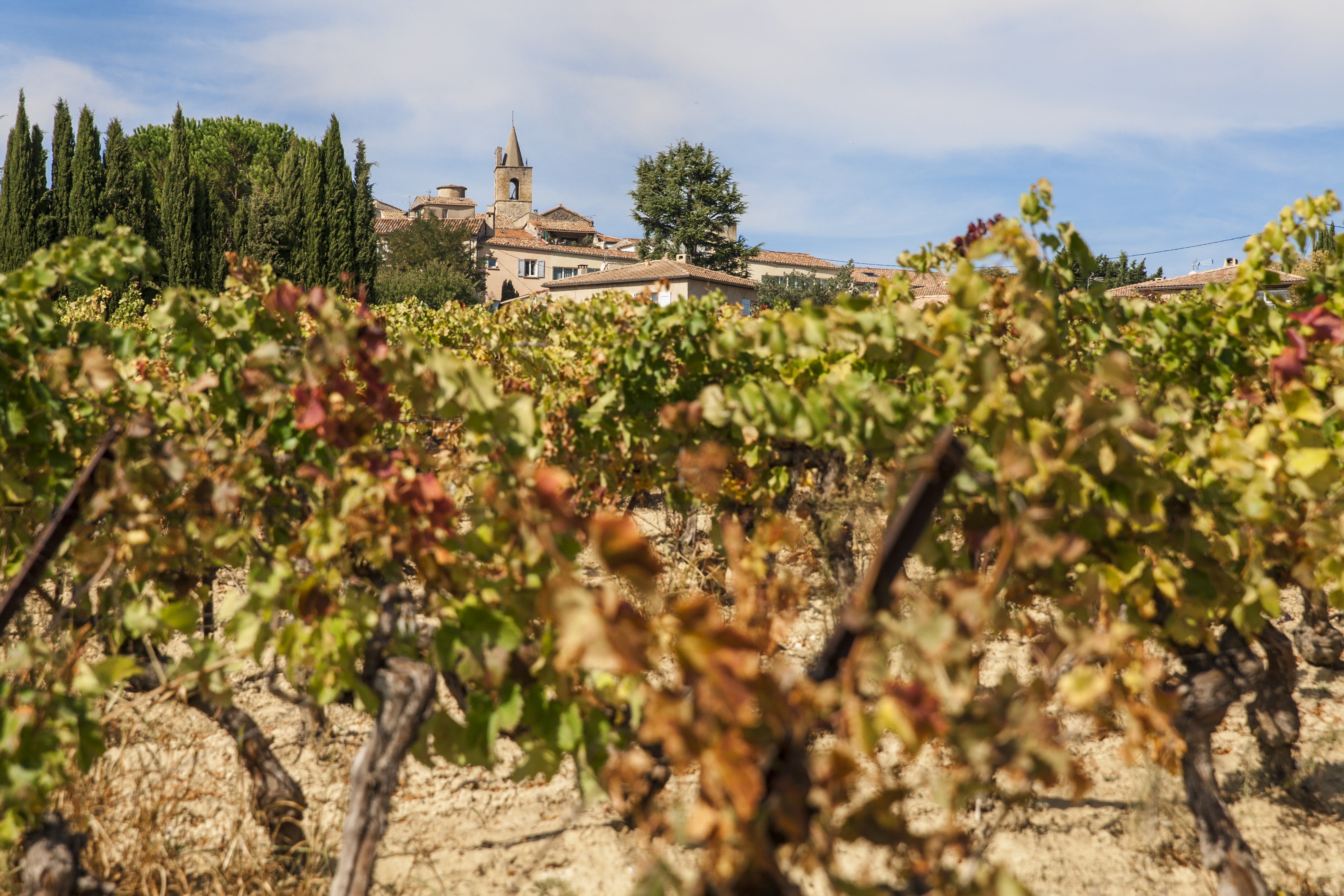 Les vins de l'AOP Pierrevert Manosque