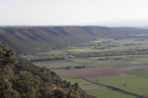 Le Plateau de Valensole vue d'Oraison