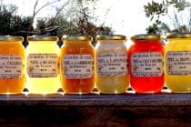 Notre gamme de miels bio