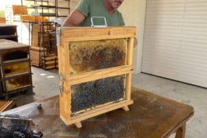 visite de la miellerie