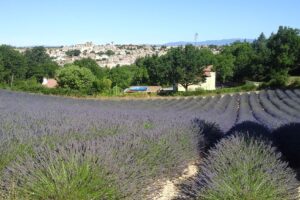 Vue du village + location