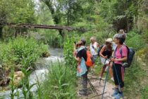 Les gorges du Colostre