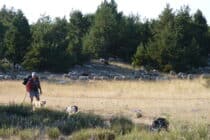 Balade nature: La Transhumance