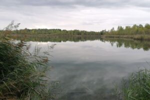 Gravière 4