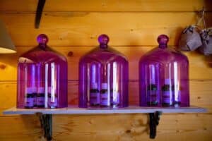 huile essentielle lavande bio