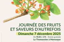 Journée des fruits et saveurs d'autrefois_Manosque