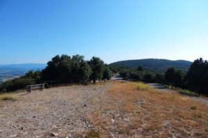 MANOSQUE – En forêt Domaniale de Pélicier