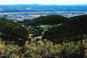 MANOSQUE – En forêt Domaniale de Pélicier