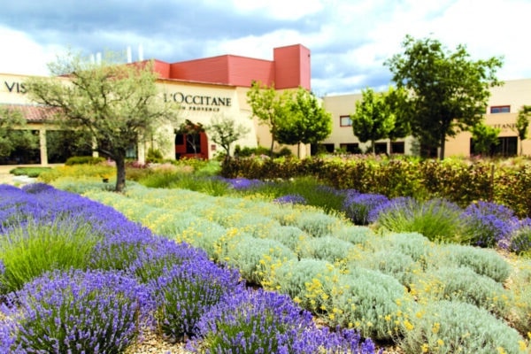 Jardin de L'Occitane en Provence