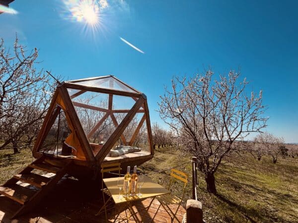 La Bulle Ico_Valensole