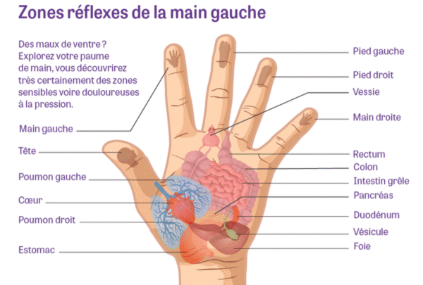 Réflexologie palmaire