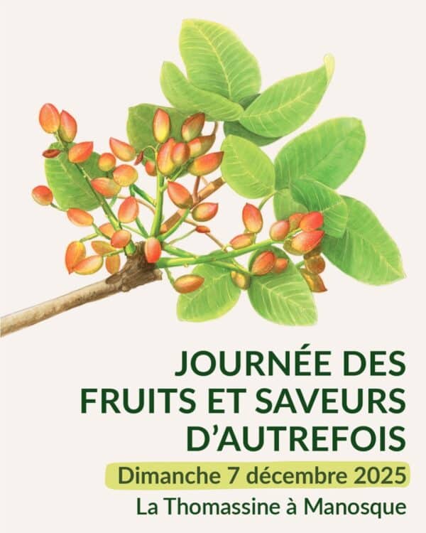 Atelier "J'héberge une chauve-souris chez moi"_Manosque