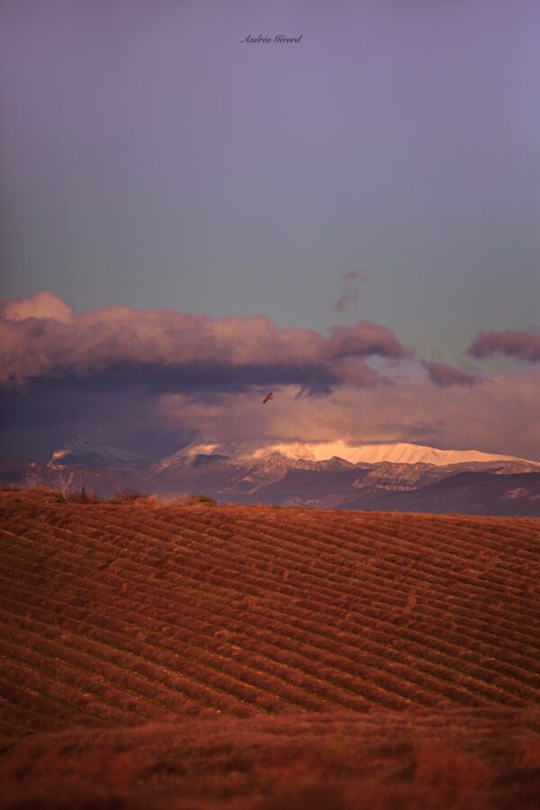 Les expos du château 2025 - le mois de la photo : novembre_Gréoux-les-Bains