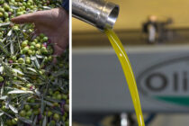 Moulin à l'huile d'olive
