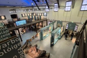 Ecomusée de l'olivier_Volx
