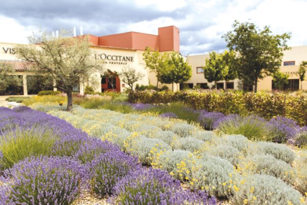 Jardin de L'Occitane en Provence