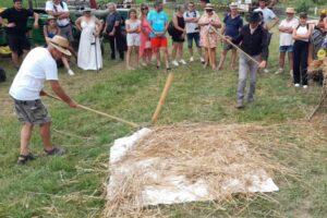 Le battage du blé au fléau