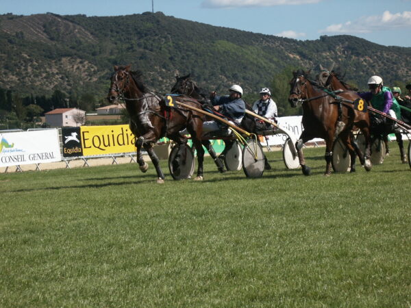 Courses hippiques