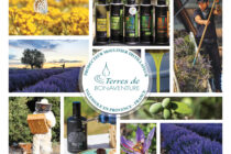 Terres Bonaventure